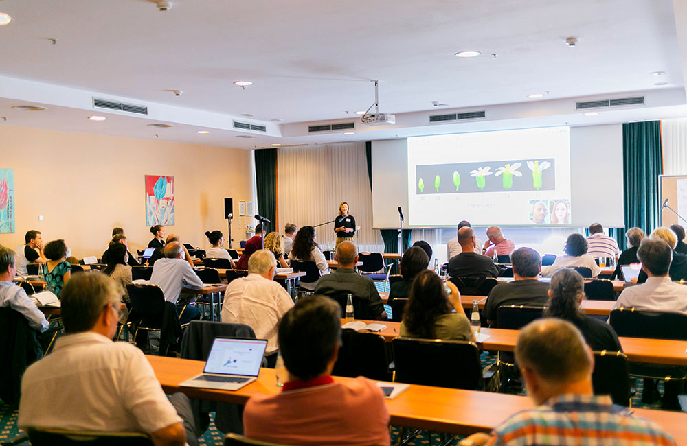 11. ZOMES Konferenz, Sarah Kossmann